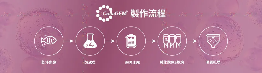 CollaGEM™ 海洋魚鱗膠原蛋白胜肽_製程