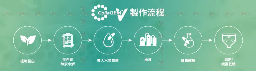 CollaGEM™-V仿生素食膠原蛋白胜肽_製程附圖